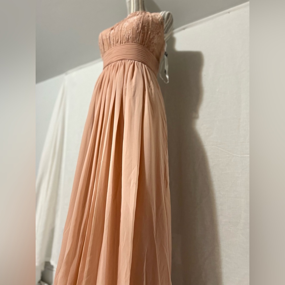 Sonsiya Blush Pink Lace Chiffon Maxi Dress Size 12 Formal Gown NWT - Picture 8 of 12